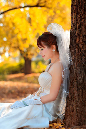 管家婆一码一肖资料大全