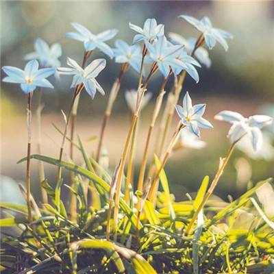 天博体育官网下载入口