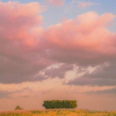 大发dafa888手机app下载