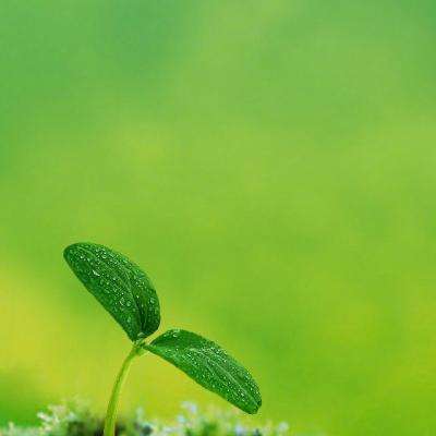 必赢亚洲app下载