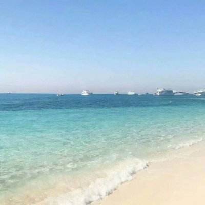 开云·kaiyun体育下载手机版