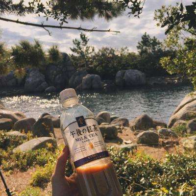 北京pk赛车app官网下载安装