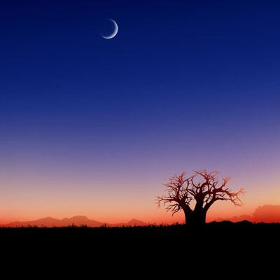 4949澳门免费资料大全