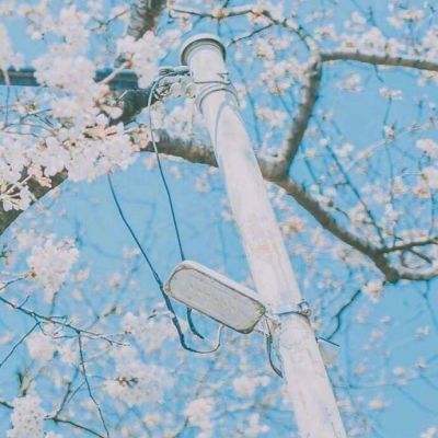 皇冠新体育下载手机版