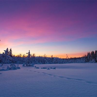 开元棋下载app官方版