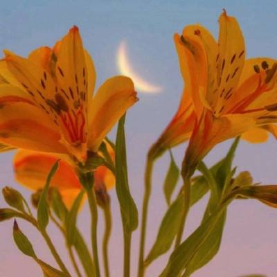 亚博足球外围软件下载手机版