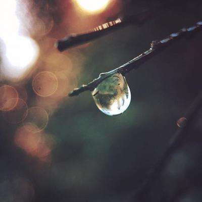 威斯尼斯wns888入口官方版下载