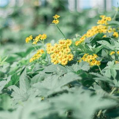 星空体育全站App