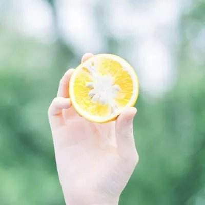 leyu·乐鱼(中国)体育app下载