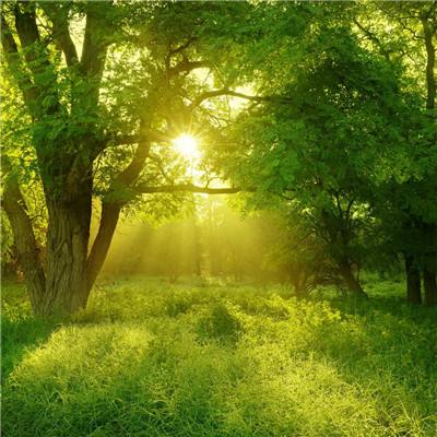 炸金花游戏app下载