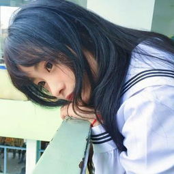 b体育官方官网入口